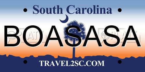 BOASASA South Carolina License Plate