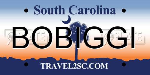 BOBIGGI South Carolina License Plate