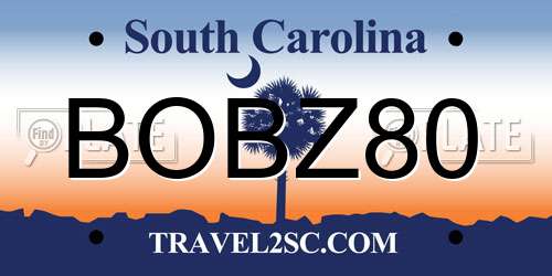 BOBZ80 South Carolina License Plate