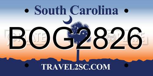 BOG2826 South Carolina License Plate