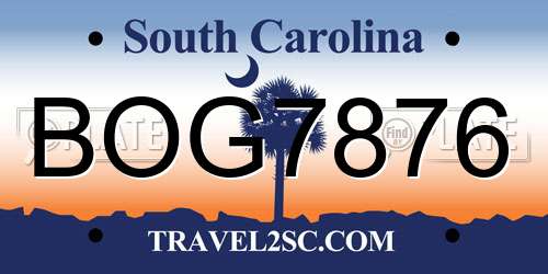 BOG7876 South Carolina License Plate