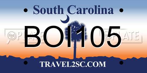 BOI105 South Carolina License Plate