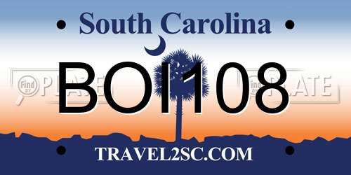 BOI108 South Carolina License Plate