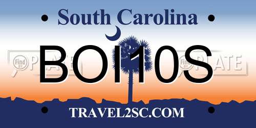 BOI10S South Carolina License Plate