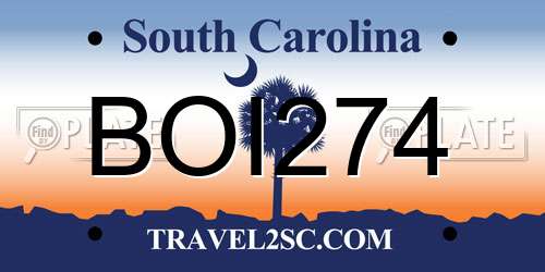 BOI274 South Carolina License Plate