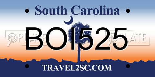 BOI525 South Carolina License Plate