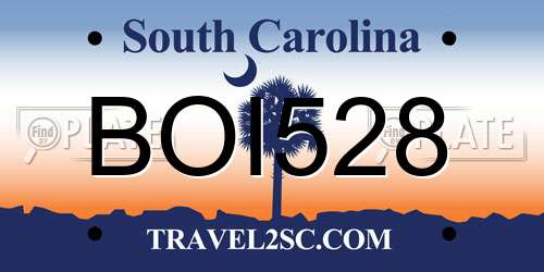 BOI528 South Carolina License Plate