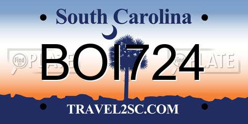 BOI724 South Carolina License Plate