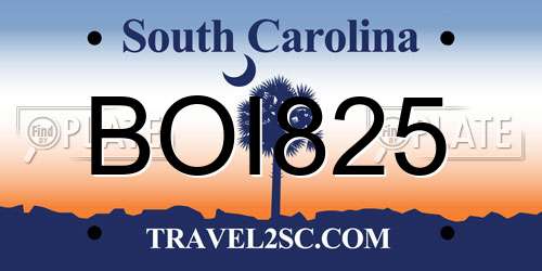 BOI825 South Carolina License Plate
