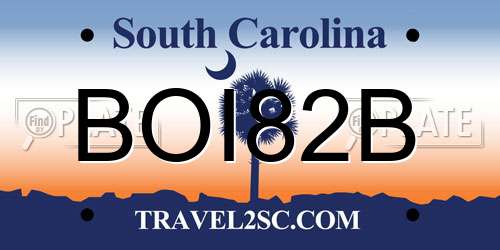 BOI82B South Carolina License Plate