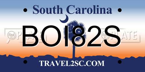 BOI82S South Carolina License Plate