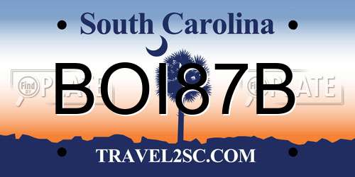 BOI87B South Carolina License Plate