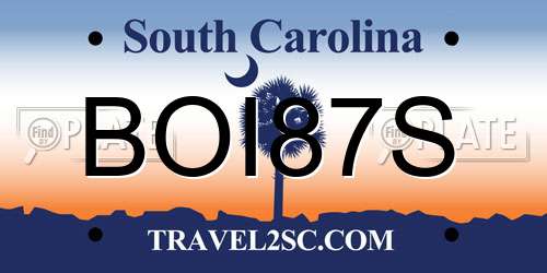 BOI87S South Carolina License Plate