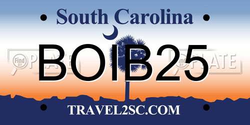 BOIB25 South Carolina License Plate