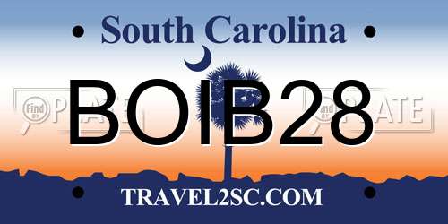 BOIB28 South Carolina License Plate
