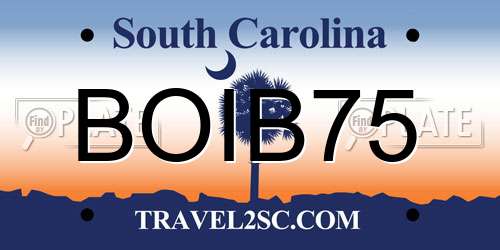 BOIB75 South Carolina License Plate