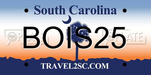 BOIS25 South Carolina License Plate
