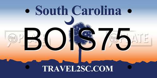 BOIS75 South Carolina License Plate