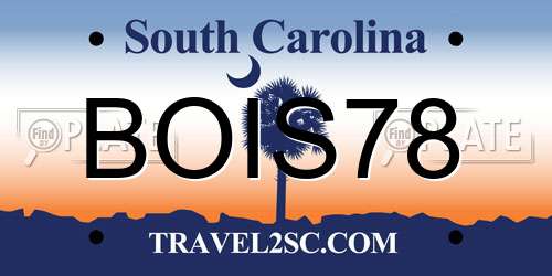 BOIS78 South Carolina License Plate