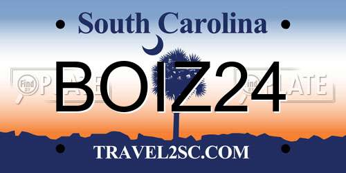 BOIZ24 South Carolina License Plate