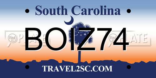 BOIZ74 South Carolina License Plate
