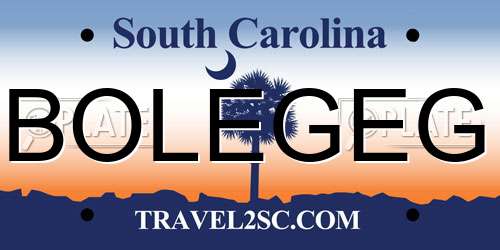 BOLEGEG South Carolina License Plate
