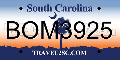 BOM3925 South Carolina License Plate