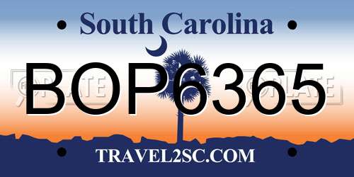 BOP6365 South Carolina License Plate
