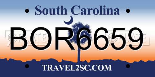 BOR6659 South Carolina License Plate