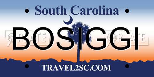 BOSIGGI South Carolina License Plate
