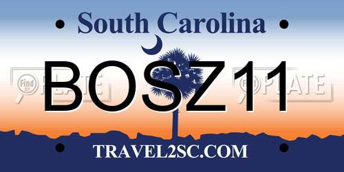 BOSZ11 South Carolina License Plate