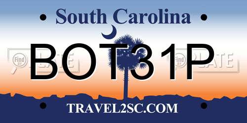BOT31P South Carolina License Plate