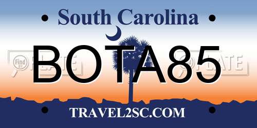 BOTA85 South Carolina License Plate