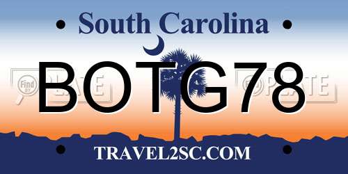 BOTG78 South Carolina License Plate
