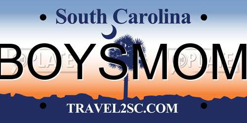 BOYSMOM South Carolina License Plate