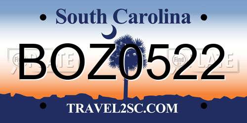 BOZ0522 South Carolina License Plate