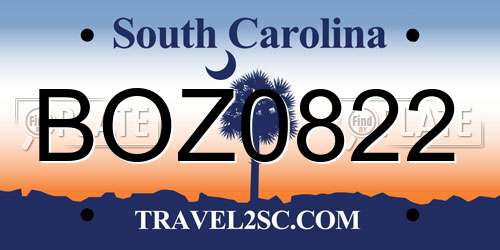 BOZ0822 South Carolina License Plate