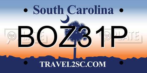 BOZ31P South Carolina License Plate