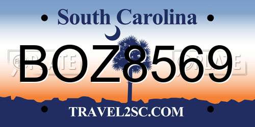 BOZ8569 South Carolina License Plate