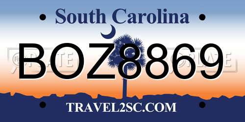 BOZ8869 South Carolina License Plate