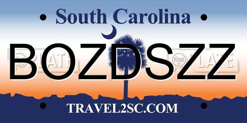BOZDSZZ South Carolina License Plate