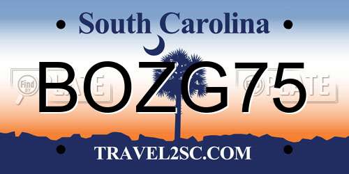 BOZG75 South Carolina License Plate