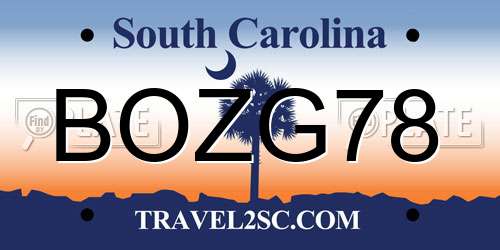 BOZG78 South Carolina License Plate