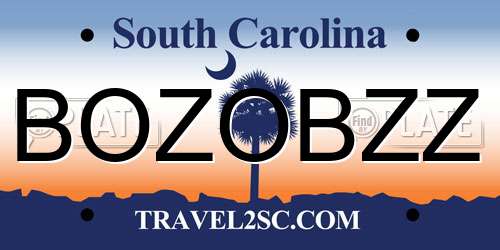 BOZOBZZ South Carolina License Plate