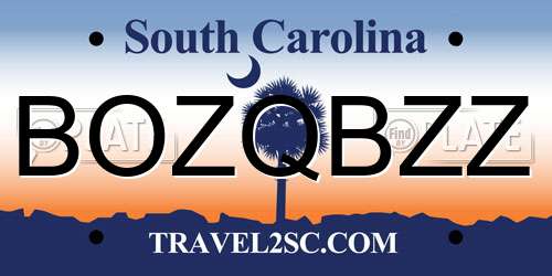 BOZQBZZ South Carolina License Plate