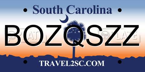 BOZQSZZ South Carolina License Plate