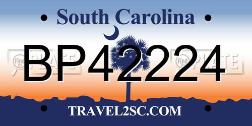 BP42224 South Carolina License Plate
