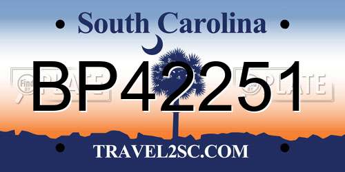BP42251 South Carolina License Plate