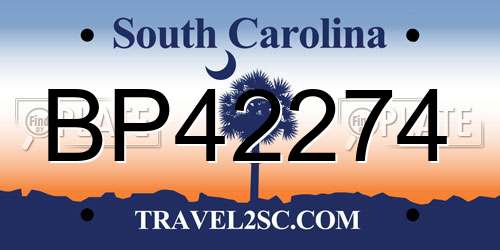 BP42274 South Carolina License Plate