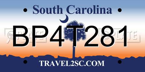 BP4T281 South Carolina License Plate